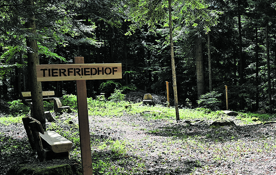 Waldfriedhof 6