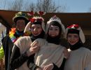 fasching gsf